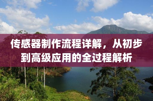 传感器制作流程详解，从初步到高级应用的全过程解析