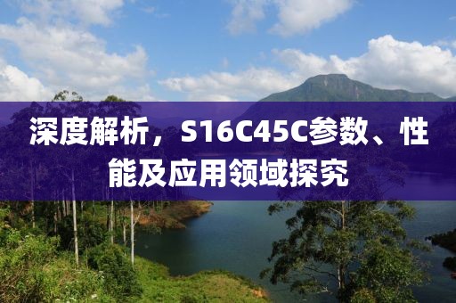 深度解析，S16C45C参数、性能及应用领域探究