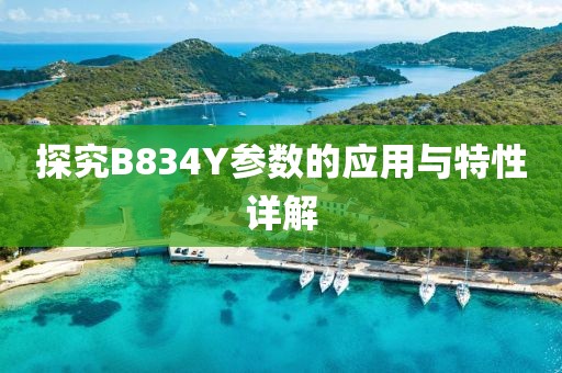 探究B834Y参数的应用与特性详解
