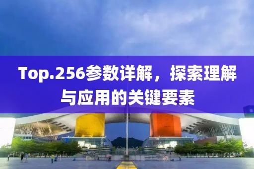Top.256参数详解，探索理解与应用的关键要素