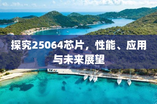 探究25064芯片，性能、应用与未来展望
