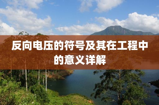 反向电压的符号及其在工程中的意义详解