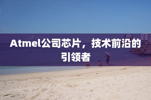 Atmel公司芯片，技术前沿的引领者