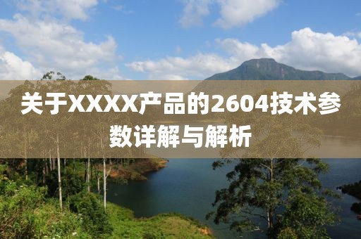 关于XXXX产品的2604技术参数详解与解析