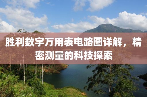 胜利数字万用表电路图详解，精密测量的科技探索