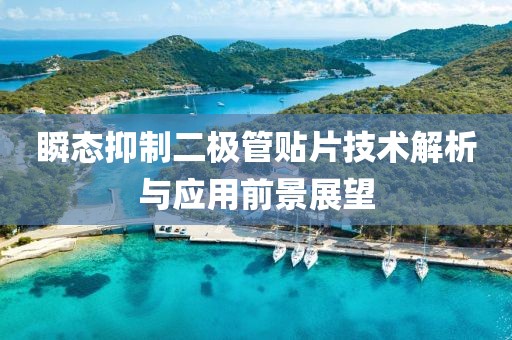 瞬态抑制二极管贴片技术解析与应用前景展望