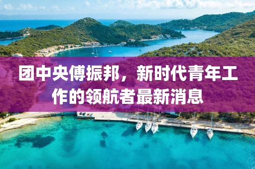 团中央傅振邦，新时代青年工作的领航者最新消息