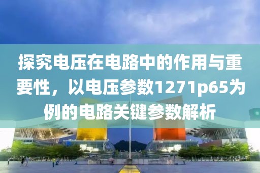 探究电压在电路中的作用与重要性，以电压参数1271p65为例的电路关键参数解析
