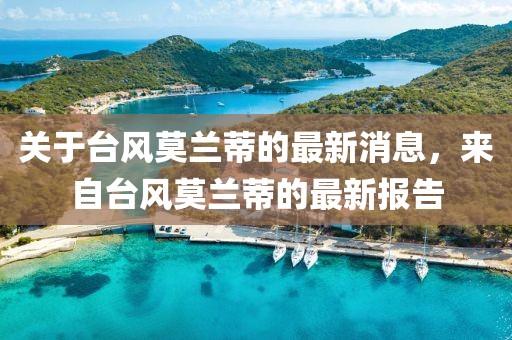 关于台风莫兰蒂的最新消息，来自台风莫兰蒂的最新报告