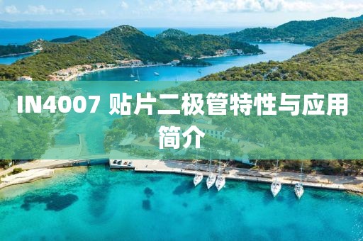 IN4007 贴片二极管特性与应用简介