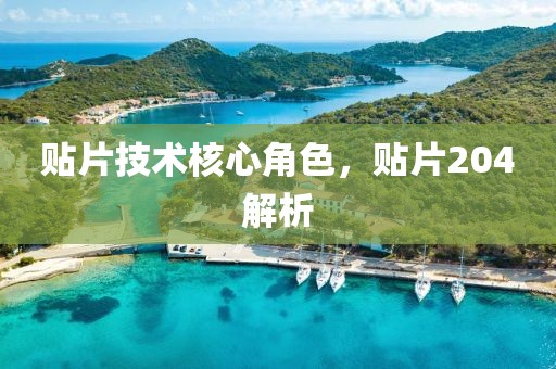 贴片技术核心角色，贴片204解析