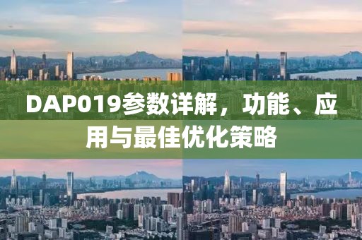 DAP019参数详解，功能、应用与最佳优化策略