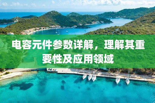电容元件参数详解，理解其重要性及应用领域