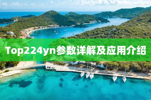 Top224yn参数详解及应用介绍
