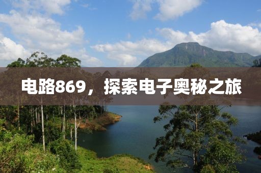 电路869，探索电子奥秘之旅
