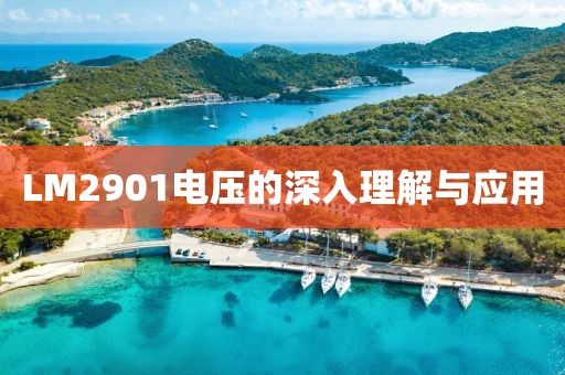LM2901电压的深入理解与应用