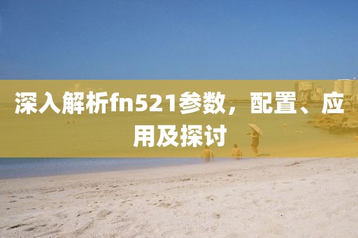 深入解析fn521参数，配置、应用及探讨