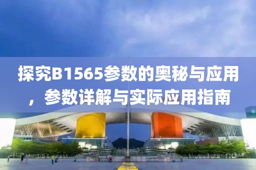探究B1565参数的奥秘与应用，参数详解与实际应用指南