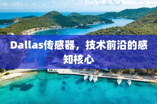 Dallas传感器，技术前沿的感知核心
