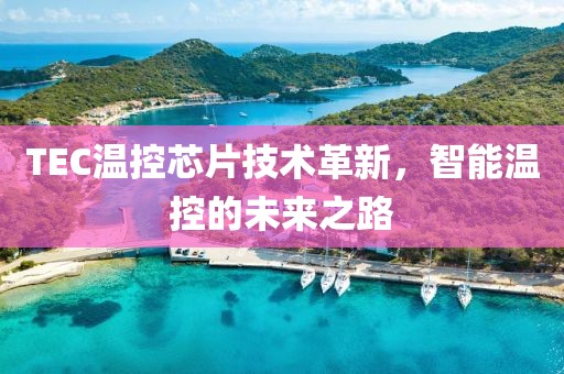 TEC温控芯片技术革新，智能温控的未来之路