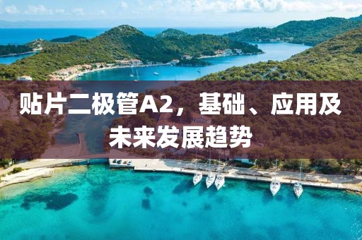 贴片二极管A2，基础、应用及未来发展趋势