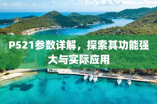 P521参数详解，探索其功能强大与实际应用