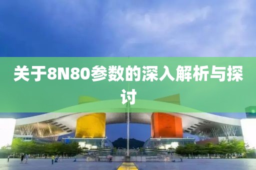 关于8N80参数的深入解析与探讨