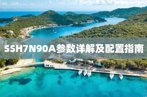 SSH7N90A参数详解及配置指南