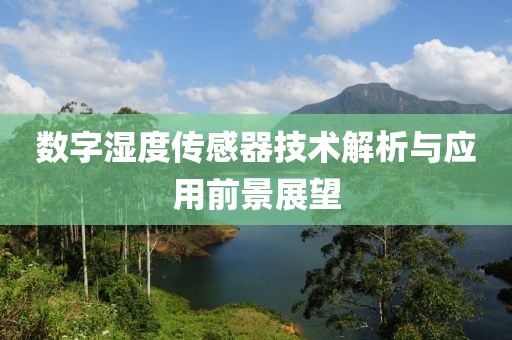 数字湿度传感器技术解析与应用前景展望