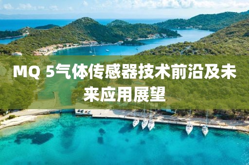 MQ 5气体传感器技术前沿及未来应用展望