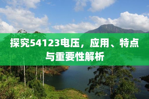 探究54123电压，应用、特点与重要性解析