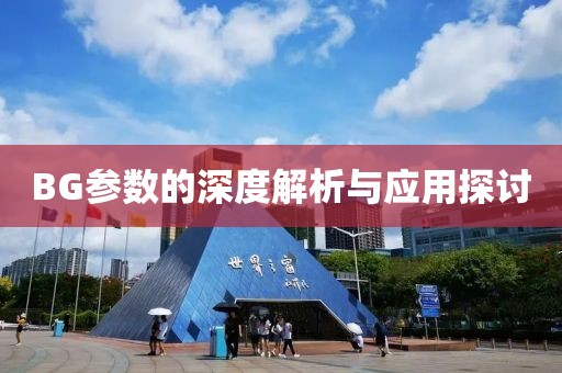 BG参数的深度解析与应用探讨