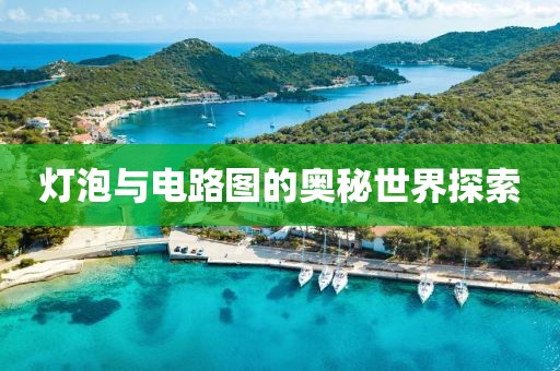 灯泡与电路图的奥秘世界探索