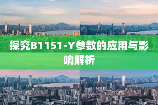 探究B1151-Y参数的应用与影响解析