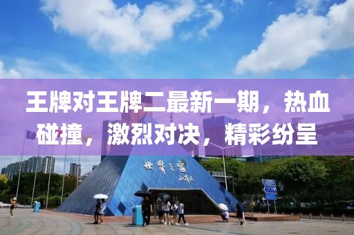 王牌对王牌二最新一期，热血碰撞，激烈对决，精彩纷呈