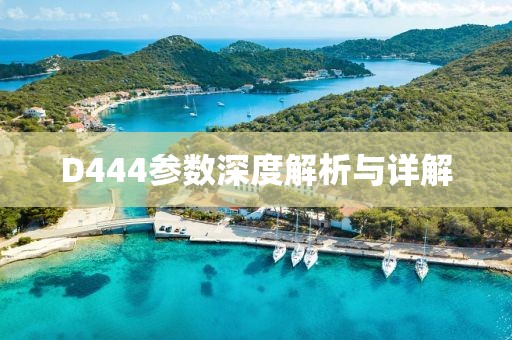 D444参数深度解析与详解