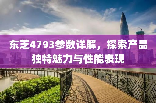 东芝4793参数详解，探索产品独特魅力与性能表现