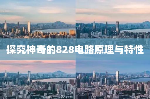探究神奇的828电路原理与特性
