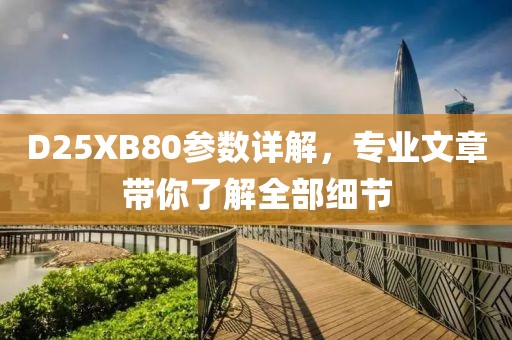 D25XB80参数详解，专业文章带你了解全部细节