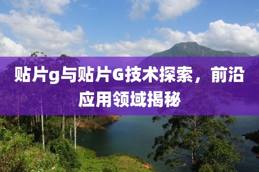 贴片g与贴片G技术探索，前沿应用领域揭秘