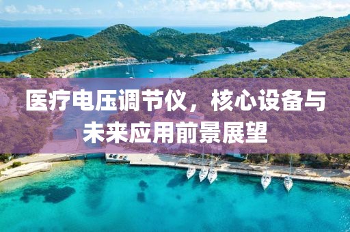 医疗电压调节仪，核心设备与未来应用前景展望