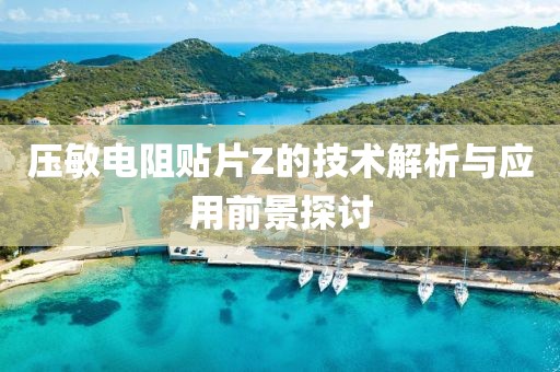 压敏电阻贴片Z的技术解析与应用前景探讨