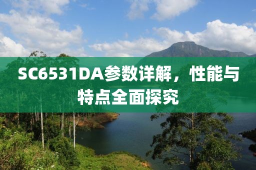 SC6531DA参数详解，性能与特点全面探究