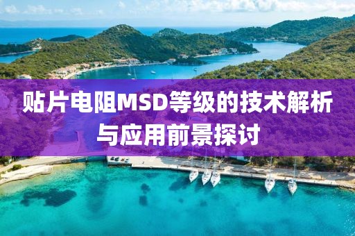贴片电阻MSD等级的技术解析与应用前景探讨