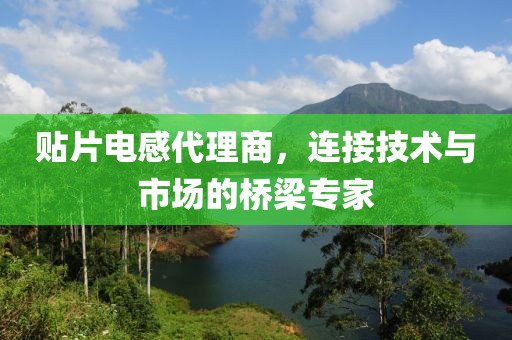 贴片电感代理商，连接技术与市场的桥梁专家