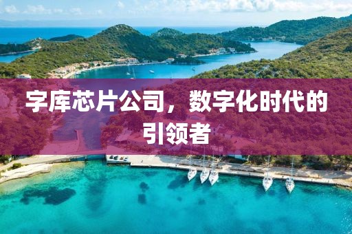 字库芯片公司，数字化时代的引领者