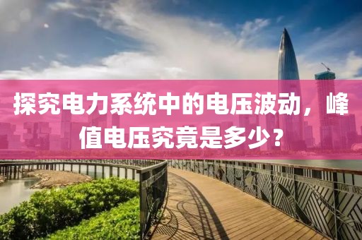 花开无言 第25页
