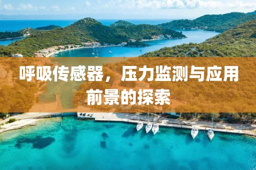 呼吸传感器，压力监测与应用前景的探索