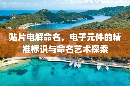 贴片电解命名，电子元件的精准标识与命名艺术探索