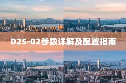 D25-02参数详解及配置指南